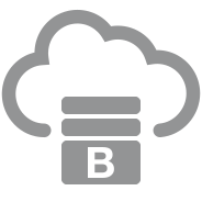 Oracle Big Data Service